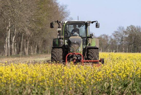 Fendt 824 beim mulchen